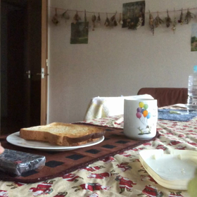 主人の病気…血栓。咳の原因はデールちゃん。の画像