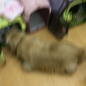 それ、アンタのじゃないじゃん(-_-;)の画像