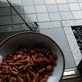 雨ニモマケズの画像