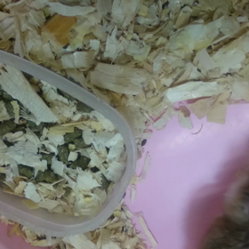 頑張って運動をしています byロボロフスキーの画像