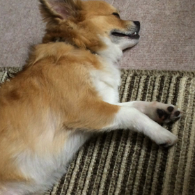 吐きそう！！笑の画像