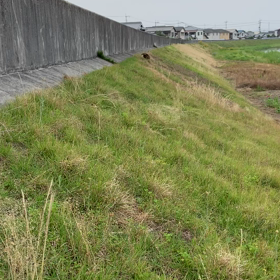 おいで～の画像