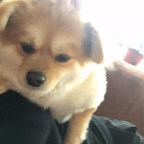 今日のぽっちゃんの画像