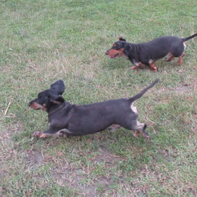 パ  ート6の画像