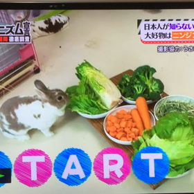 初テレビ出演？？(笑)の画像