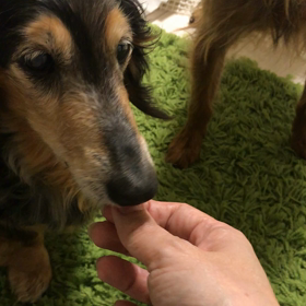 姫のがんばった事 いっぱい(*´꒳`*)③の画像