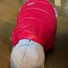 まったりもったりの画像