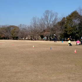 長距離記録会後のリレー(第２レース)⑪の画像