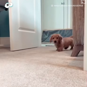 カメラ衝突の画像