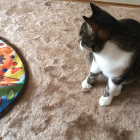 懐かしい〜の画像