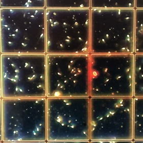 昨日は半日　日曜休日診療でしたの画像