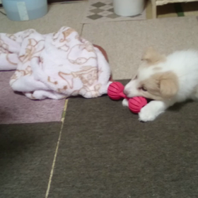 ☆4日目☆の画像