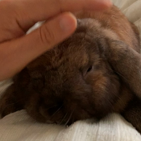 股間を撫でるの画像