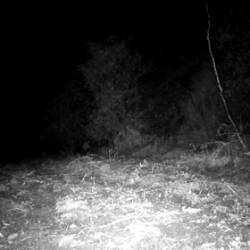 すぎぴたんの事件簿　シーズン２　１１４話の画像