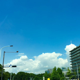 新丸ビルでランチ！の画像