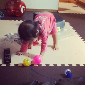 立った！の画像