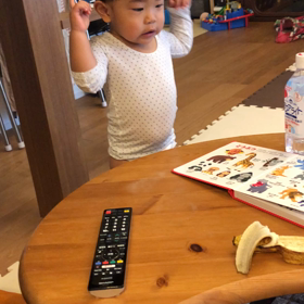 さるとゴリラを見分ける息子の画像