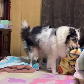 偶然であってほしい、不穏な出来事が続く(￣∀￣)の画像