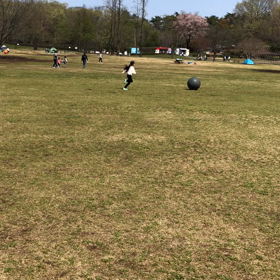 森林公園3の画像