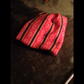 たぬさん、寝袋とともに…の画像