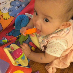 パパママの画像