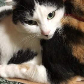 なかよしだぜ〰ぃの画像