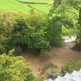 台風５号(つД`)ノの画像