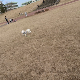 お散歩日和の画像