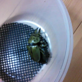 当たり前！！早すぎた(笑)の画像