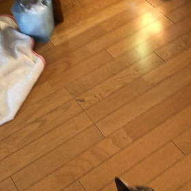 日赤呼吸器科へ…嬉しい悲しいお別れ。UNIQLOで購入。夕食デール動画。の画像