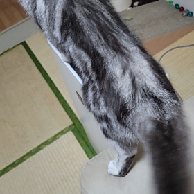 強めがお好きの画像
