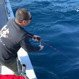 11月20日　トンジギ便の画像