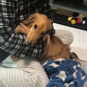 てんかん発作3回目2の画像