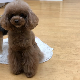 やっぱ可愛え。の画像