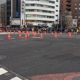 週末のレース報告 ②東京マラソンの画像