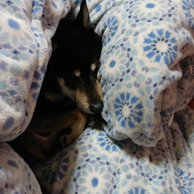 久しぶりのの画像