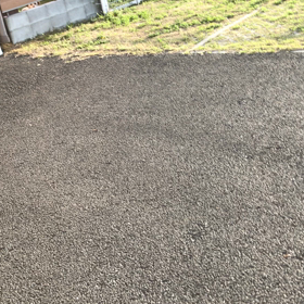 忠犬バルちゃんの画像