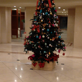 ただ今ぁ！の画像