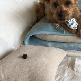 離さな〜い❕の画像