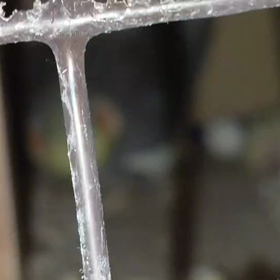 ⭐︎なんとガチで卵が孵りました⭐︎の画像