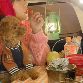 小熊とディナーの画像