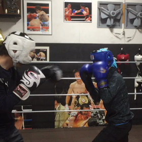 私の彼は左利きの画像