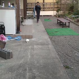 残りの大会のためにの画像