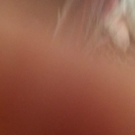 実は、、の画像