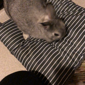 ホリホリ♪スイスーイ♪の画像