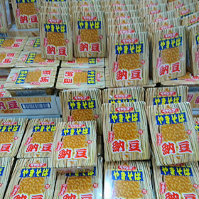 ギャー！！(゜ロ゜ノ)ノの画像