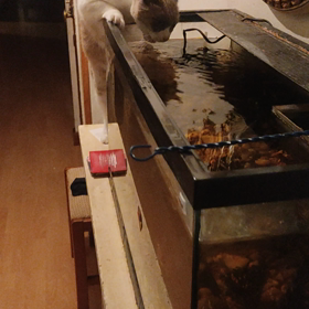 この記事の画像