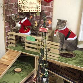 最高のプレゼント♡の画像