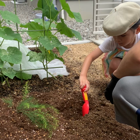 かわいい植え間違い☺︎の画像