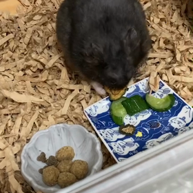 お泊まり2日目の画像